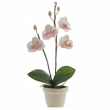 Декоративная композиция "Орхидея в горшочке", цвет: бело-розовый, 22 см х 9 см Артикул: 4992 инфо 1595s.
